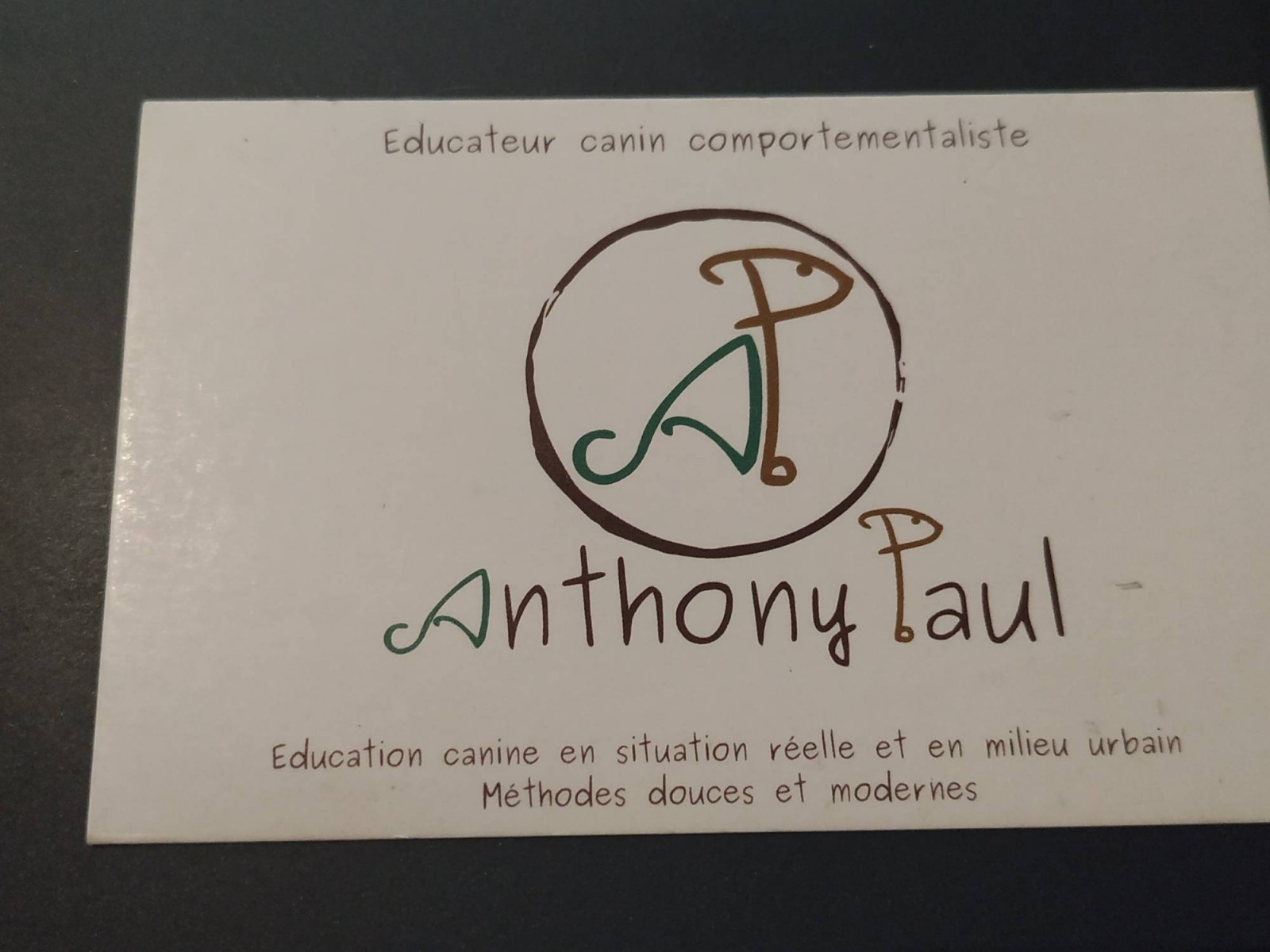 Éducateur canin diplômé à Toulouse ( Haute-Garonne 31) Anthony Paul