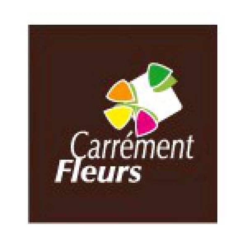 Vous ne savez pas comment exprimer ce que vous avez à dire et vous pensez qu'un bouquet de fleurs fera l'affaire alors votre Fleuriste Carrément fleurs Toulouse avenue Jean Chaubet vous accueille