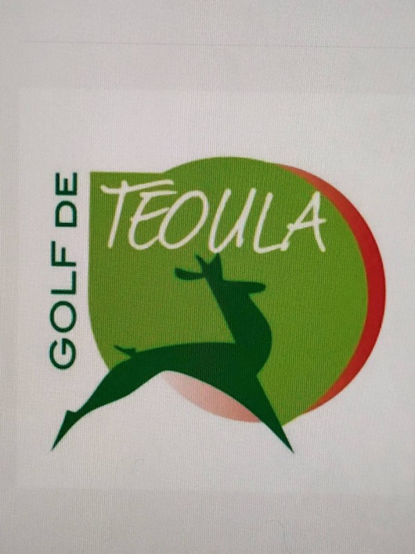 Prendre des cours de golf avec vue sur les Pyrénées à Plaisance Du Touch( Proche de Toulouse en Haute-Garonne)