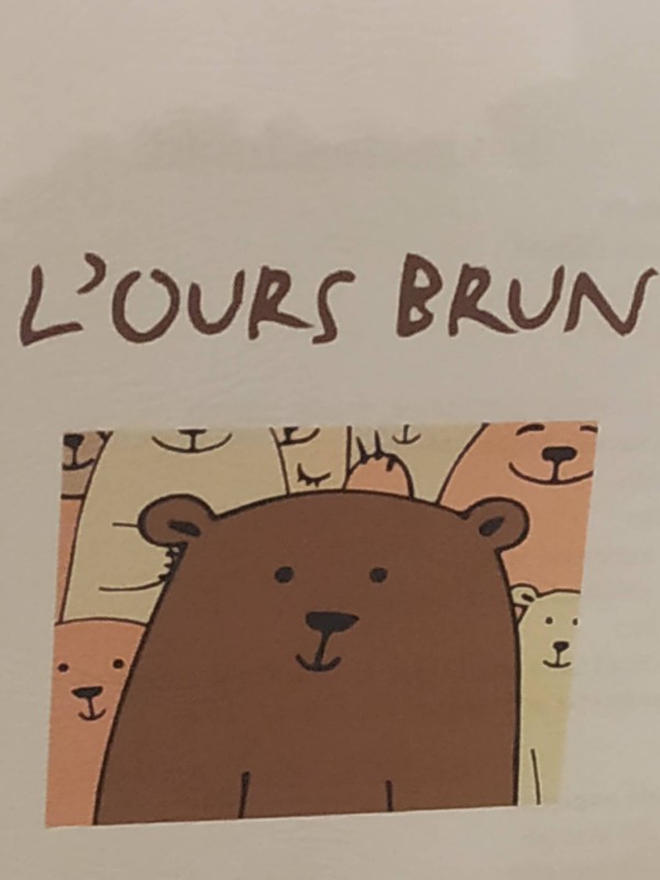 Réserver un espace Coworking dans un endroit atypique à l'Isle Jourdain ( Proche Toulouse, Gers) L'Ours Brun